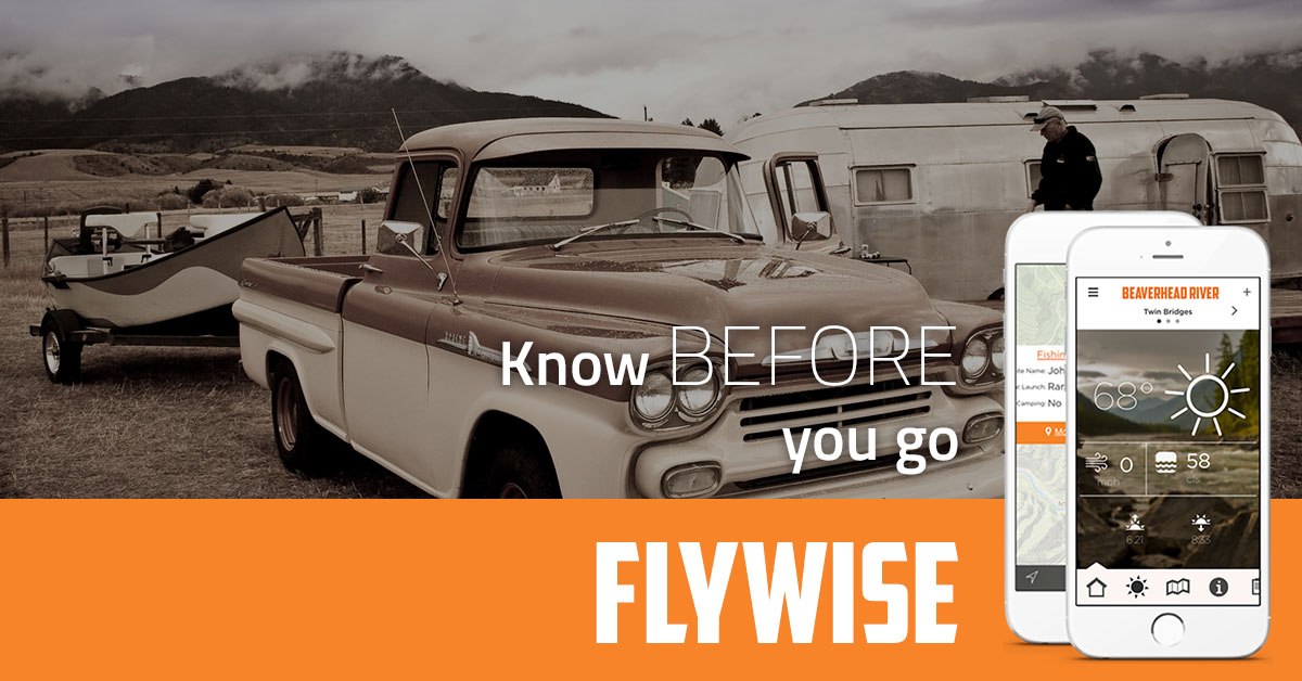 Flywise Web Ad